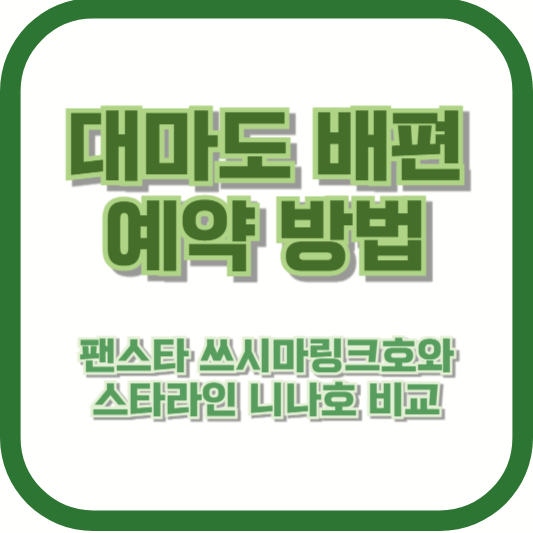대마도 배편 예약 방법: 팬스타 쓰시마링크호와 스타라인 니나호 비교