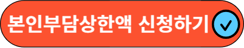 건강보험 본인부담상한액 초과금