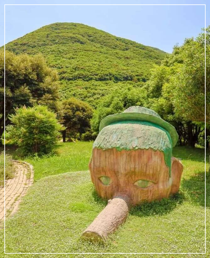 완도 가볼만한곳 베스트10 완도수목원(국립난대완도수목원)