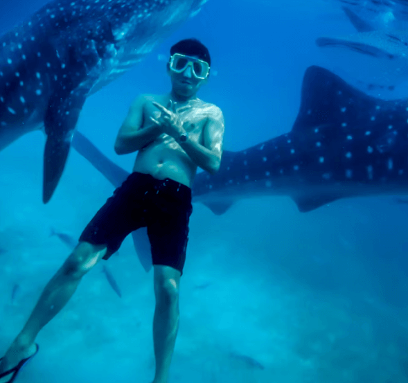 세부 다이빙 완벽 가이드: 초보부터 베테랑까지