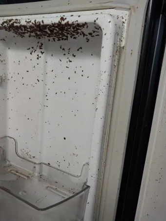 냉장고 청소하는 법 청소법_4