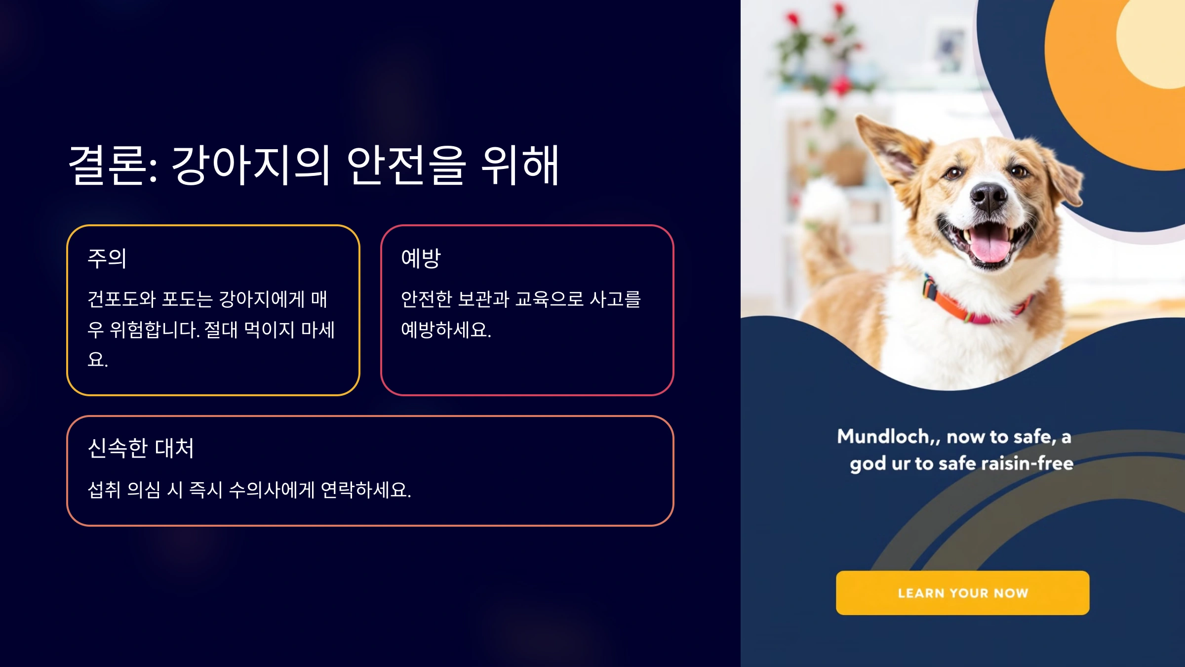 강아지가 건포도를 먹었을 때 생길 수 있는 문제