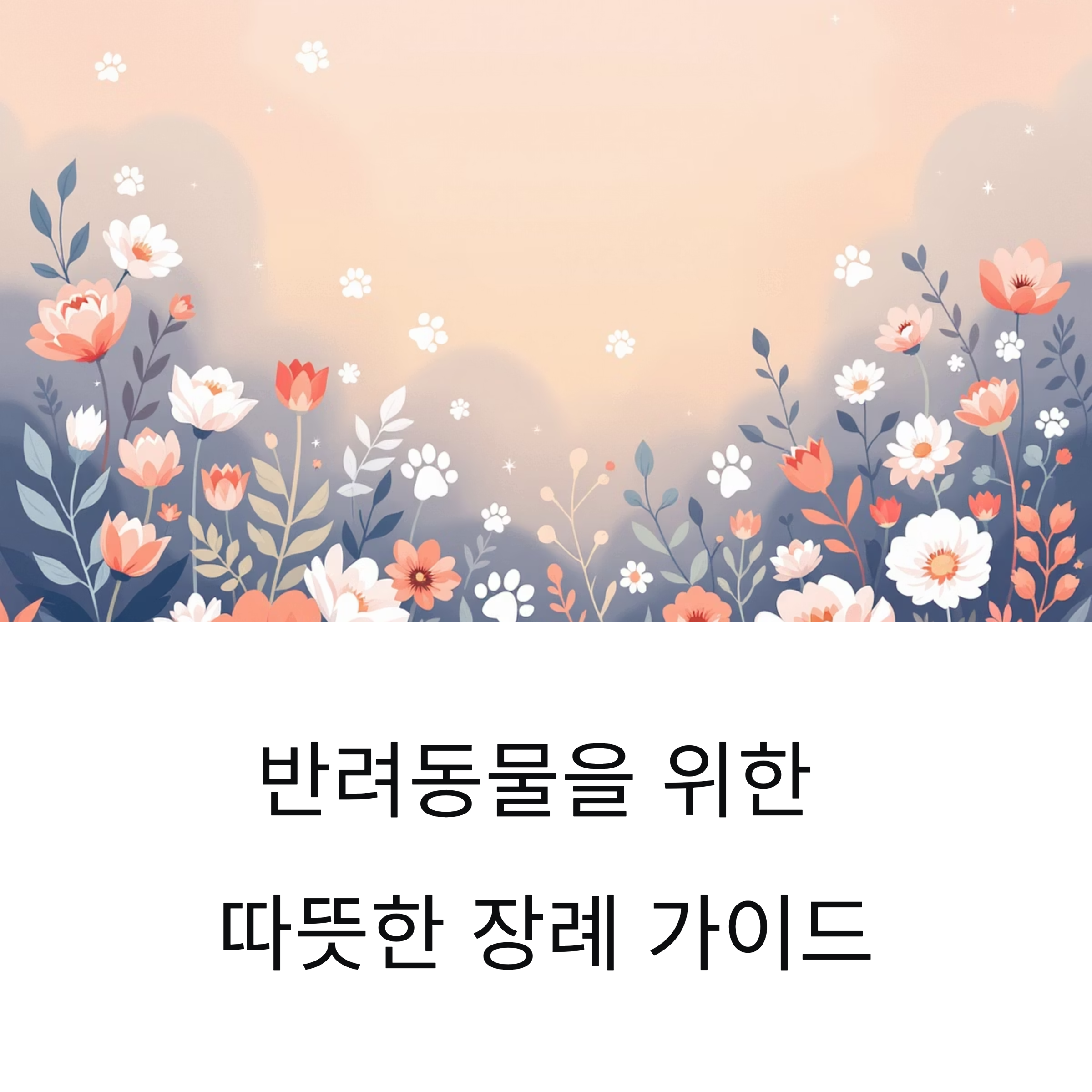 반려동물을 위한 따뜻한 장례 가이드