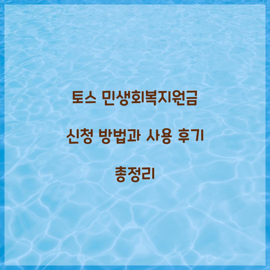 토스 민생회복지원금