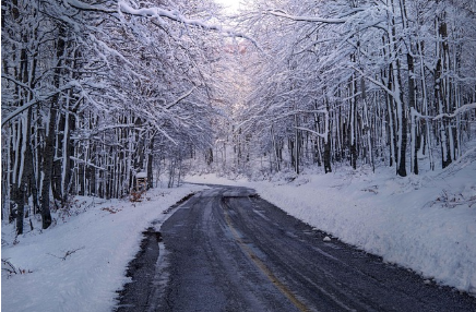 계절별 최고의 여행지 추천 – 봄, 여름, 가을, 겨울마다 가장 아름다운 곳