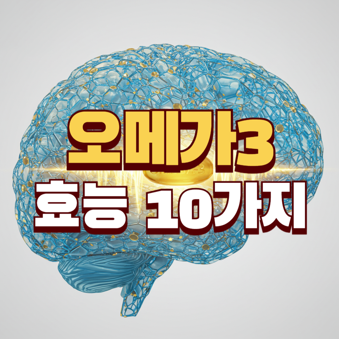 오메가3 효능 10가지