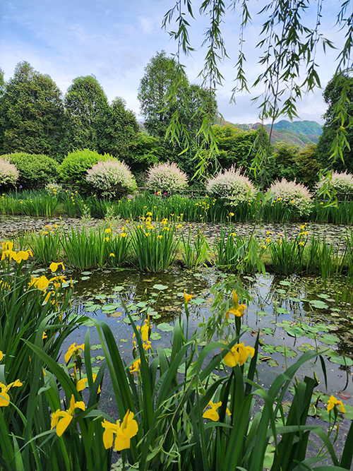 충북 옥천 천상의정원 수생식물학습원, 예약 필수 힐링 민간정원 총정리!