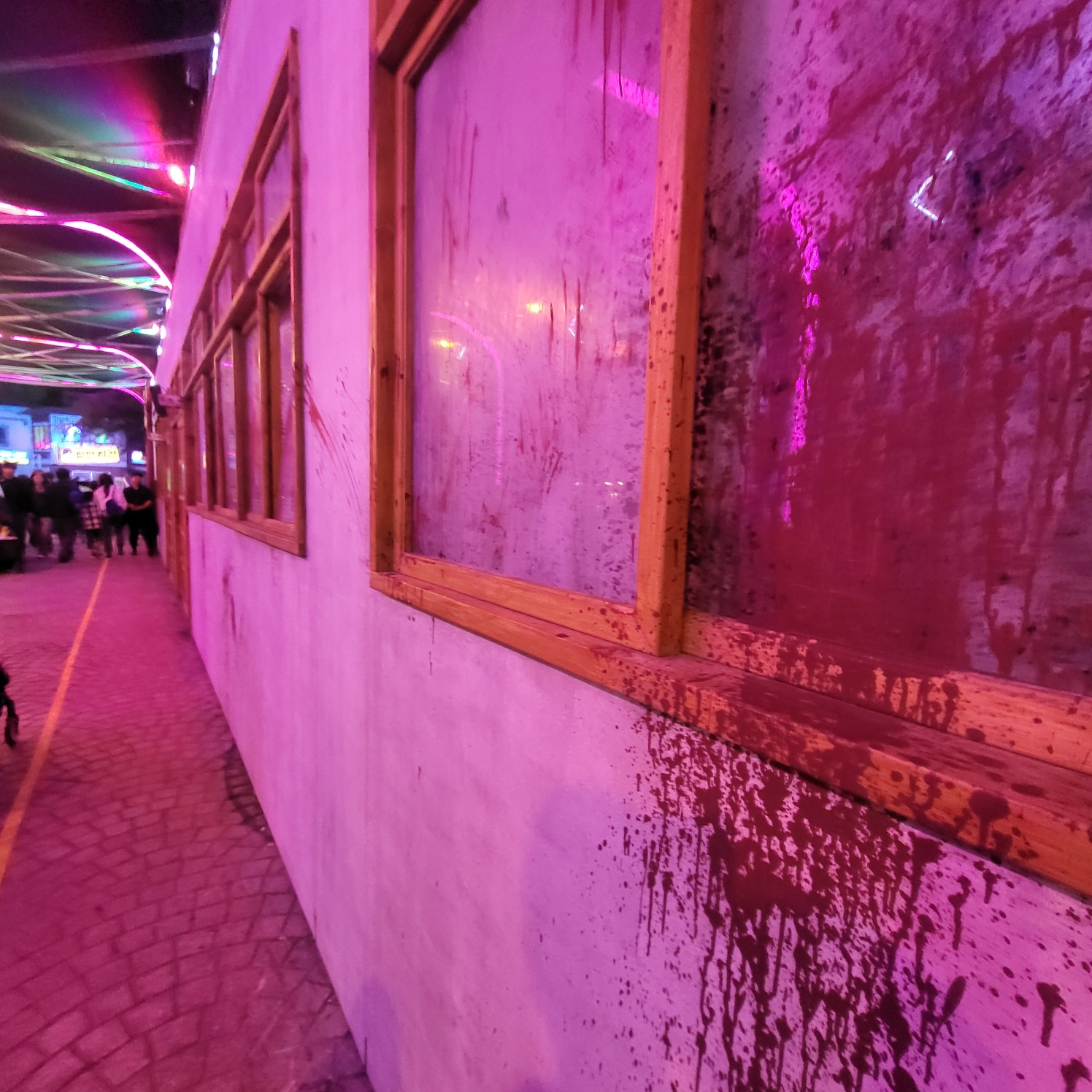 에버랜드 호러메이즈 할로윈 축제(지금 우리 학교는)