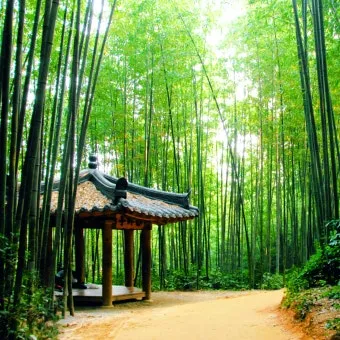 담양 죽녹원 소아르호텔 숙박 맛집_45