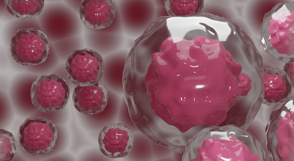 줄기세포 기반 신약 개발 기업