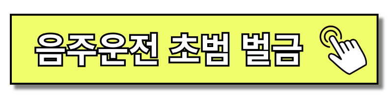 위드마크 공식 계산기, 김호중 음주운전 뺑소니