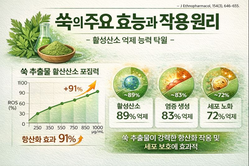 쑥 추출물의 항산화 연구 결과를 요약한 과학 도표