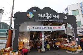 제주도 한 달 살이 체험기