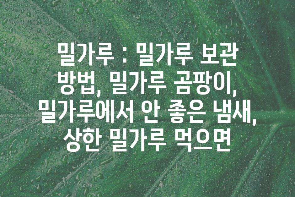샘플 (44)