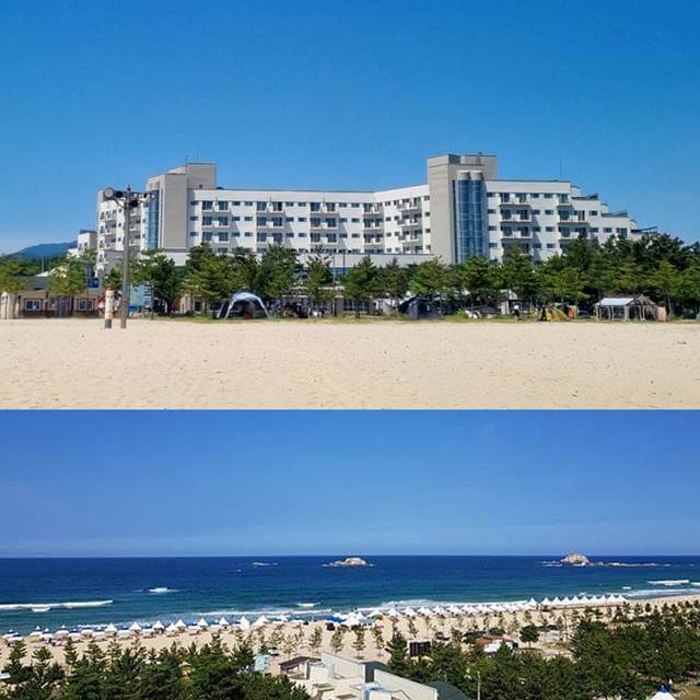 새해 맞이 불꽃 축제, 23년 카운트다운 불꽃쇼 추천 best 3