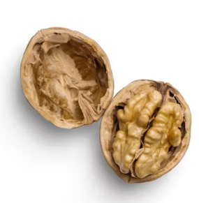 호두 효능과 부작용 하루섭취량 먹는방법 고르는법