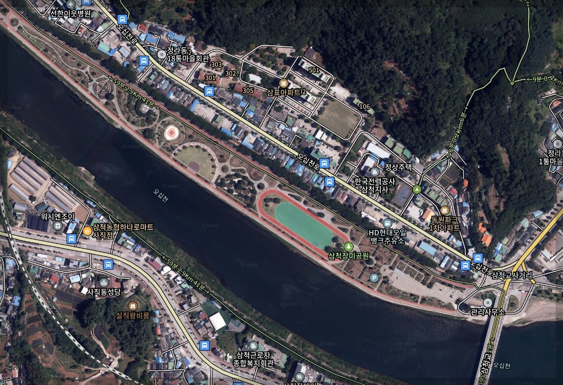 삼척장미축제 일정 주차정보 행사내용 주변관광지[총정리]