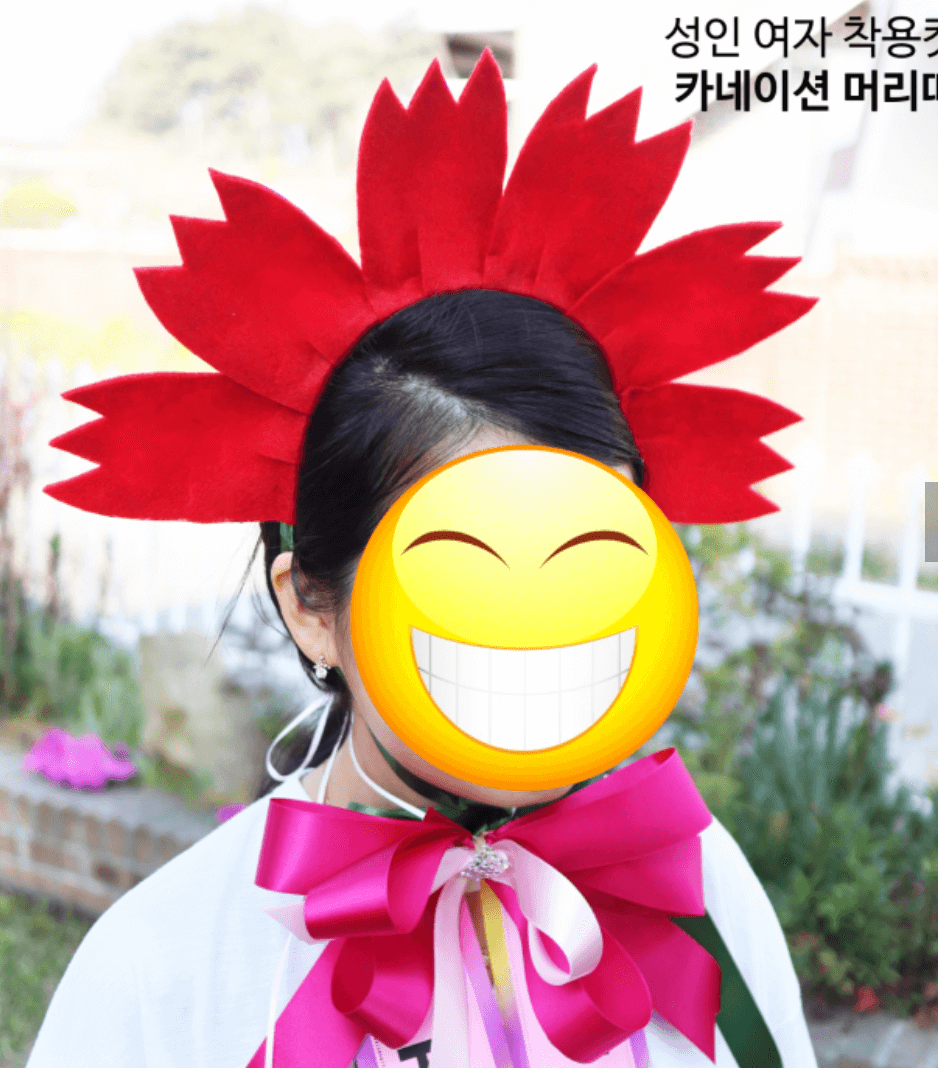 카네이션 인간화환