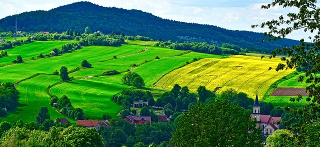농지대장인터넷발급