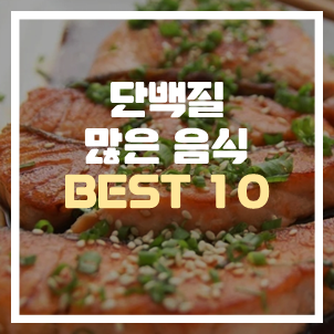 단백질 많은 음식