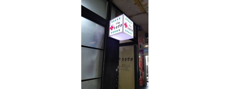 안양 동안구 동물병원