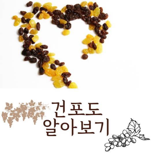 건포도