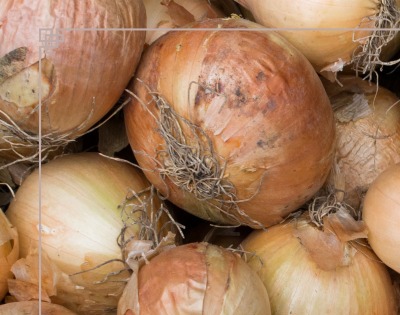 양파즙 효능 고혈압