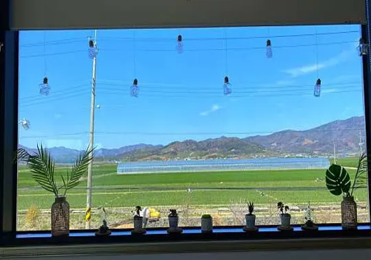 카페언니