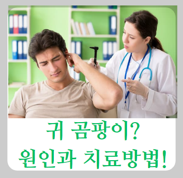 귀 곰팡이 원인과 치료방법