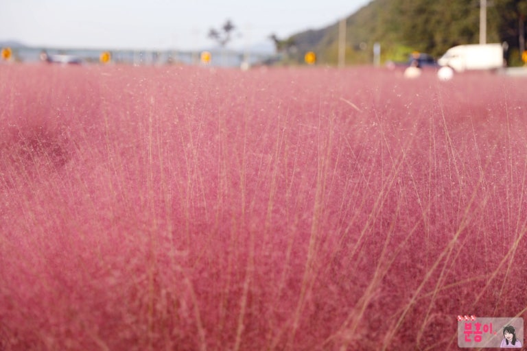 고령 가볼만한곳 베스트10