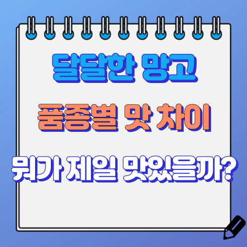 망고 품종별 맛 차이