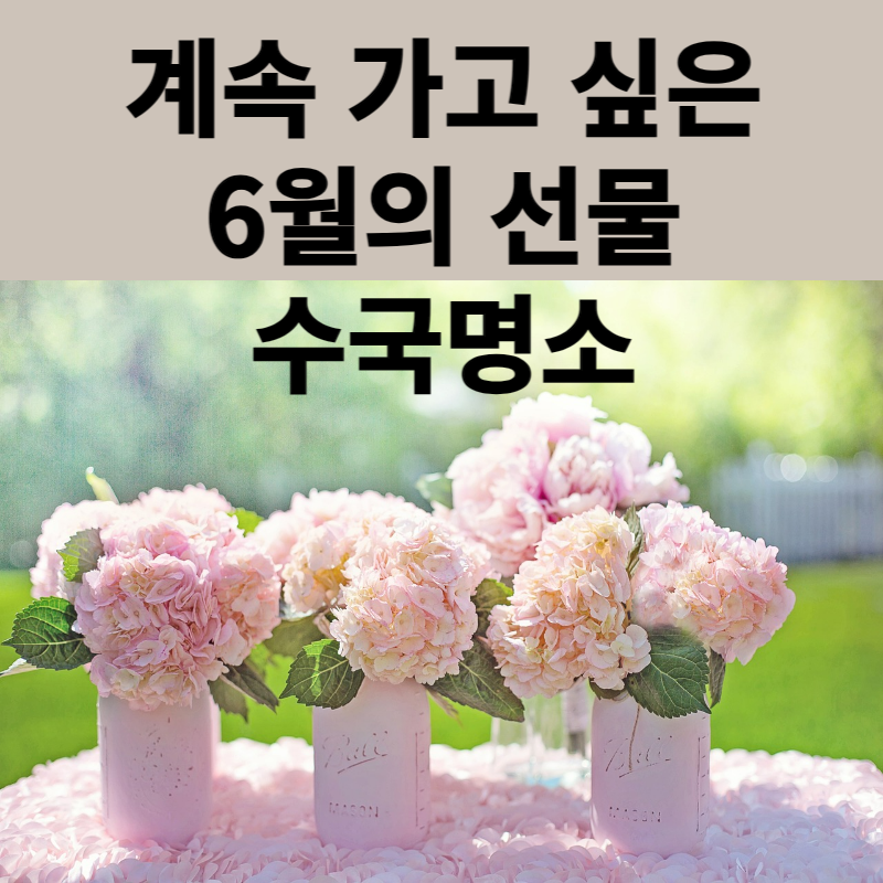 수국명소