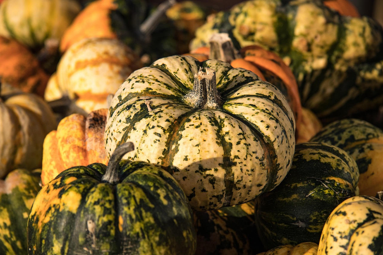 2025년 농민수당 신청 자격 및 방법 총정리