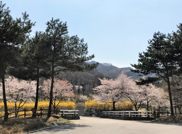 국립자연휴양림