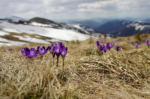 2025년 국세청 미수령 환급금 조회 방법