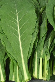 케일의 주요 성분과 케일즙의 효능 및 섭취 시 주의사항 그리고 케일즙의 특이사항