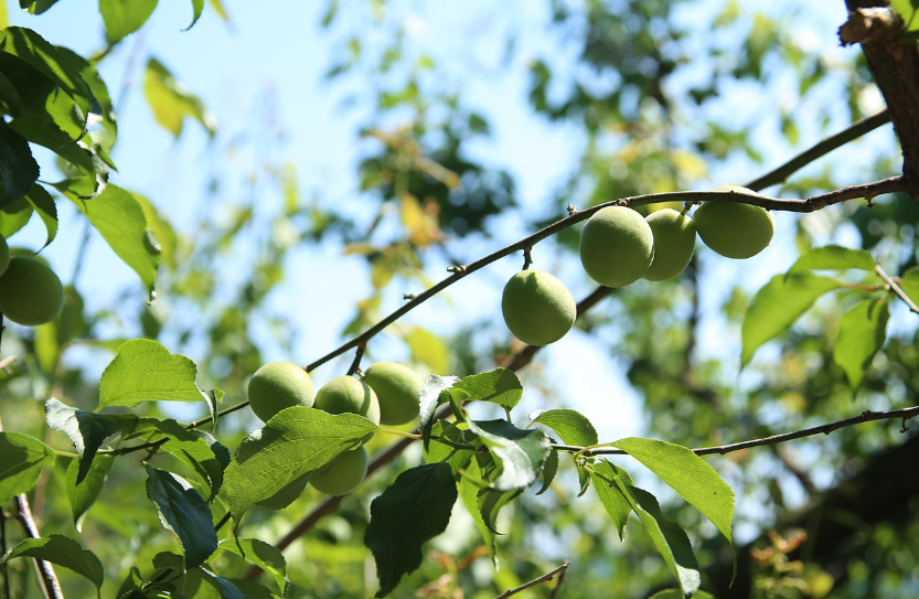 3월8일 생방송투데이