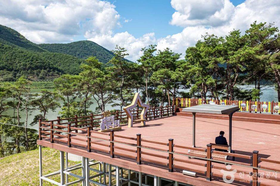 영천 가볼만한곳 베스트 10