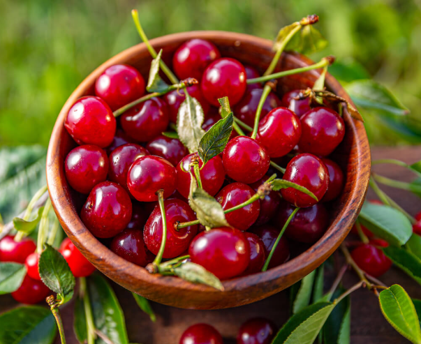 체리 효능 부작용 칼로리 영양성분 먹는법 하루 섭취량 임산부 총정리3