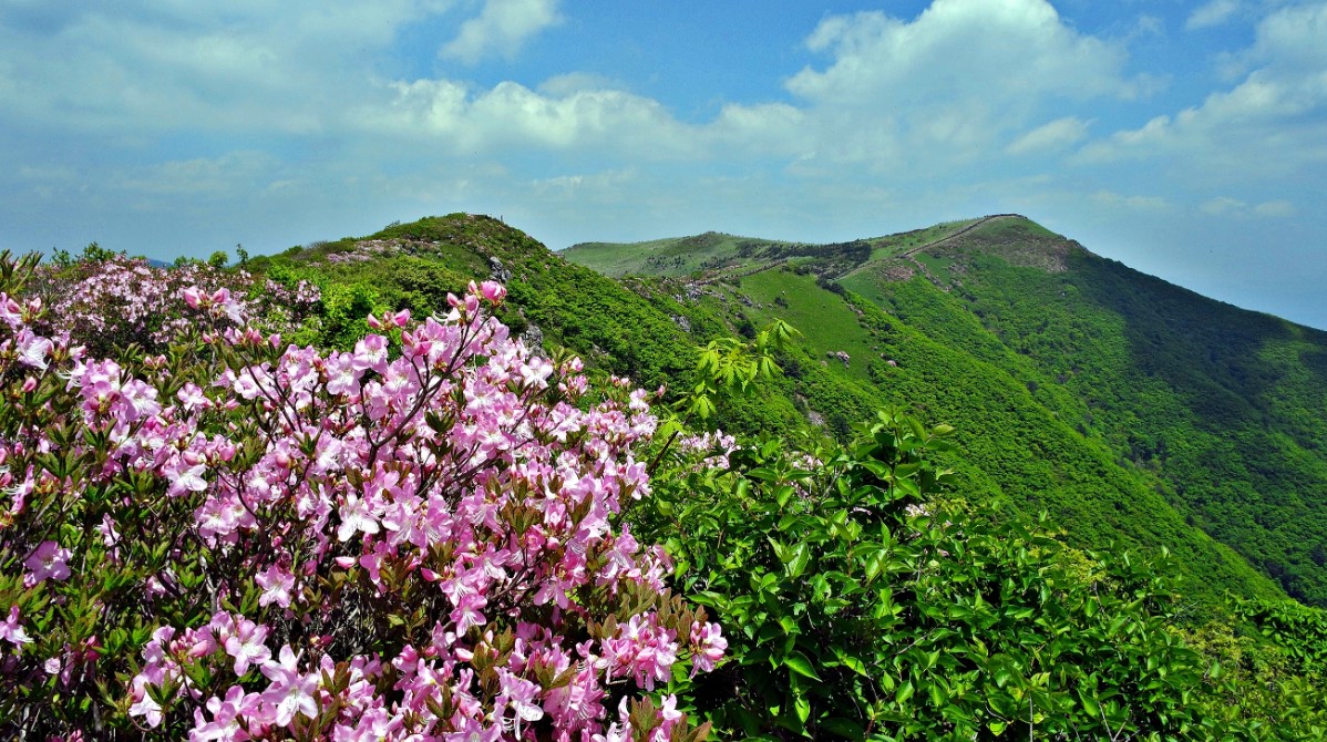 소백산
