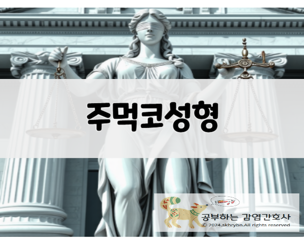 의학 정보_주먹코(plastic) 성형, 방법, 종류, 비용 살펴 보기