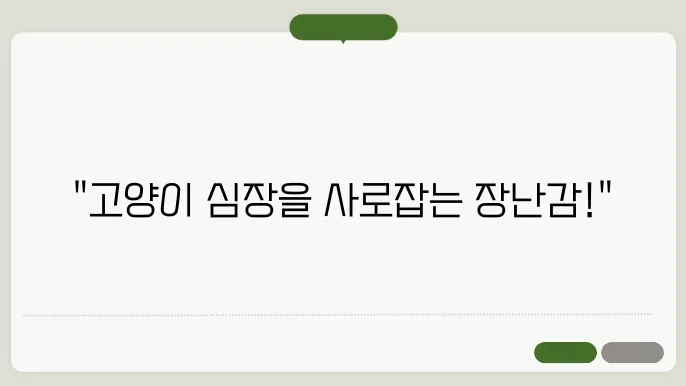 고양이가 좋아하는 장난감 추천과 하루 30분 활동량 높이는 꿀팁
