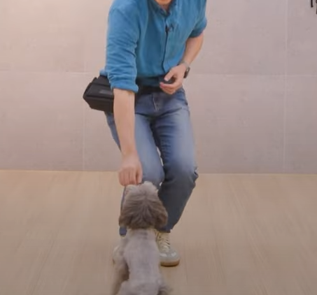 간식 무릎굽혀서 주기