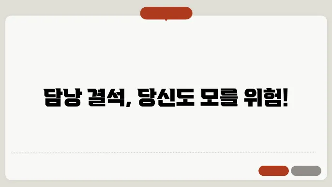 담낭 결석 증상 시각화