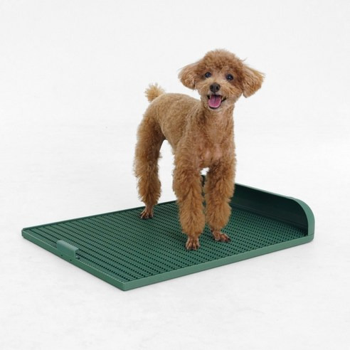 배변판 고르는 법, 추천정보