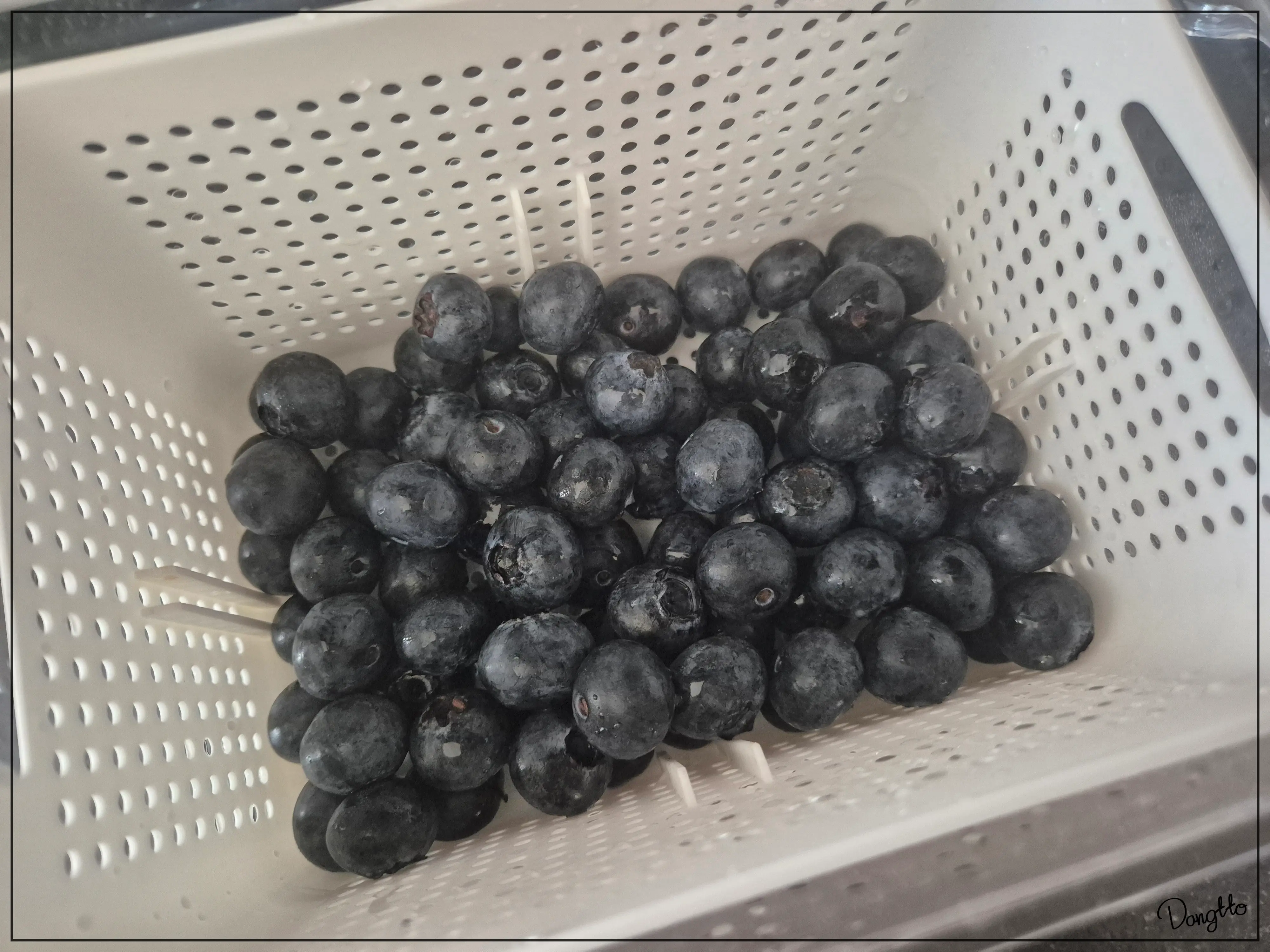 그릭요거트와-함께-곁들이면-좋은-블루베리를-세척한-실물-사진