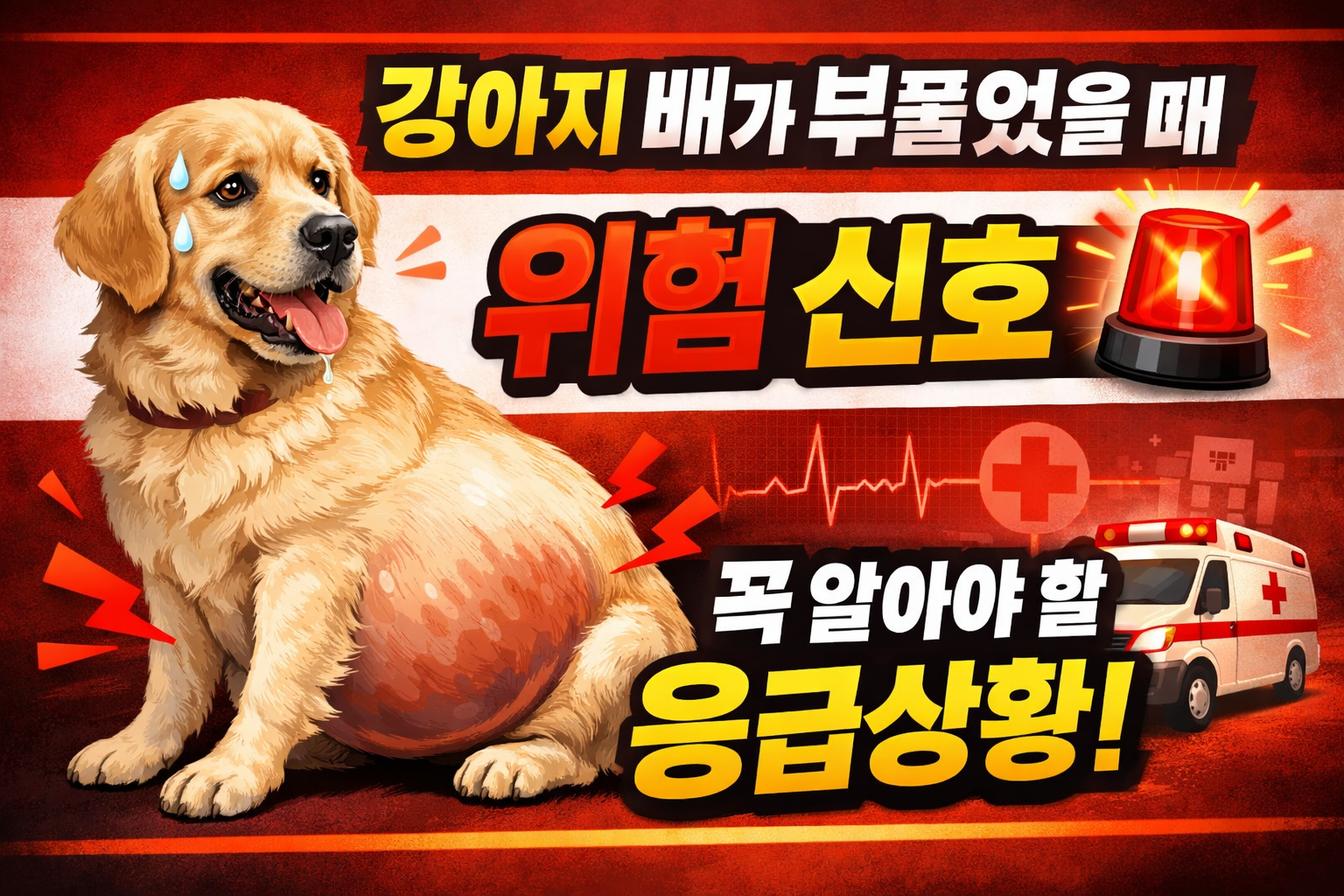 강아지 배가 부풀었을 때