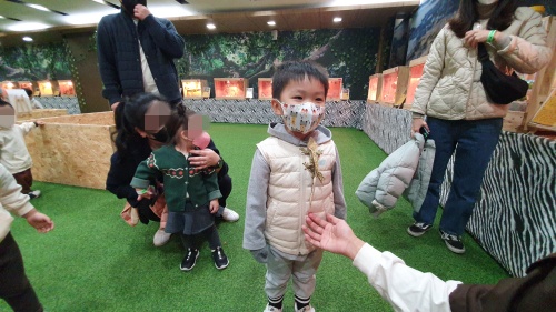 귀여운도마뱀