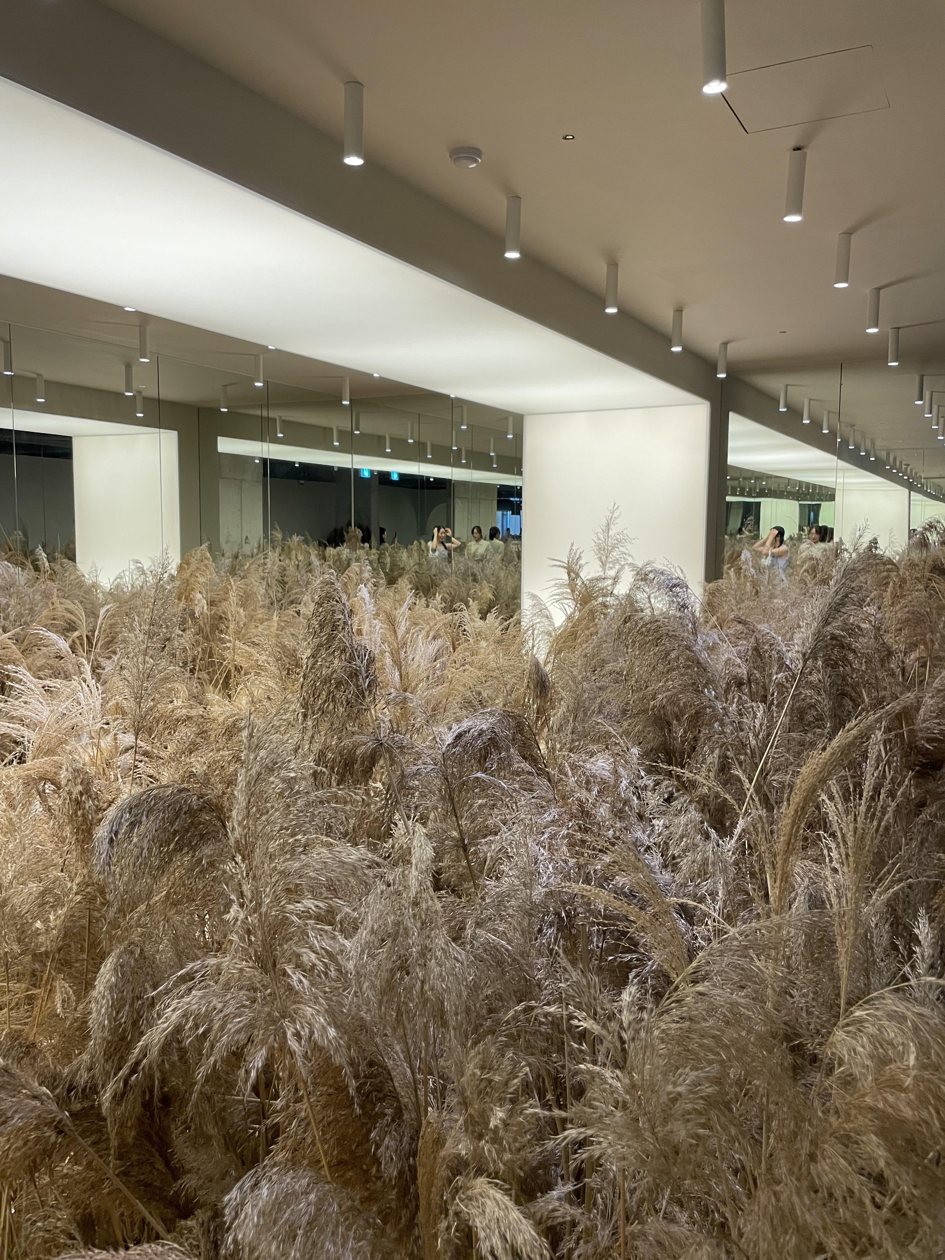 여수 돌산카페 모이핀