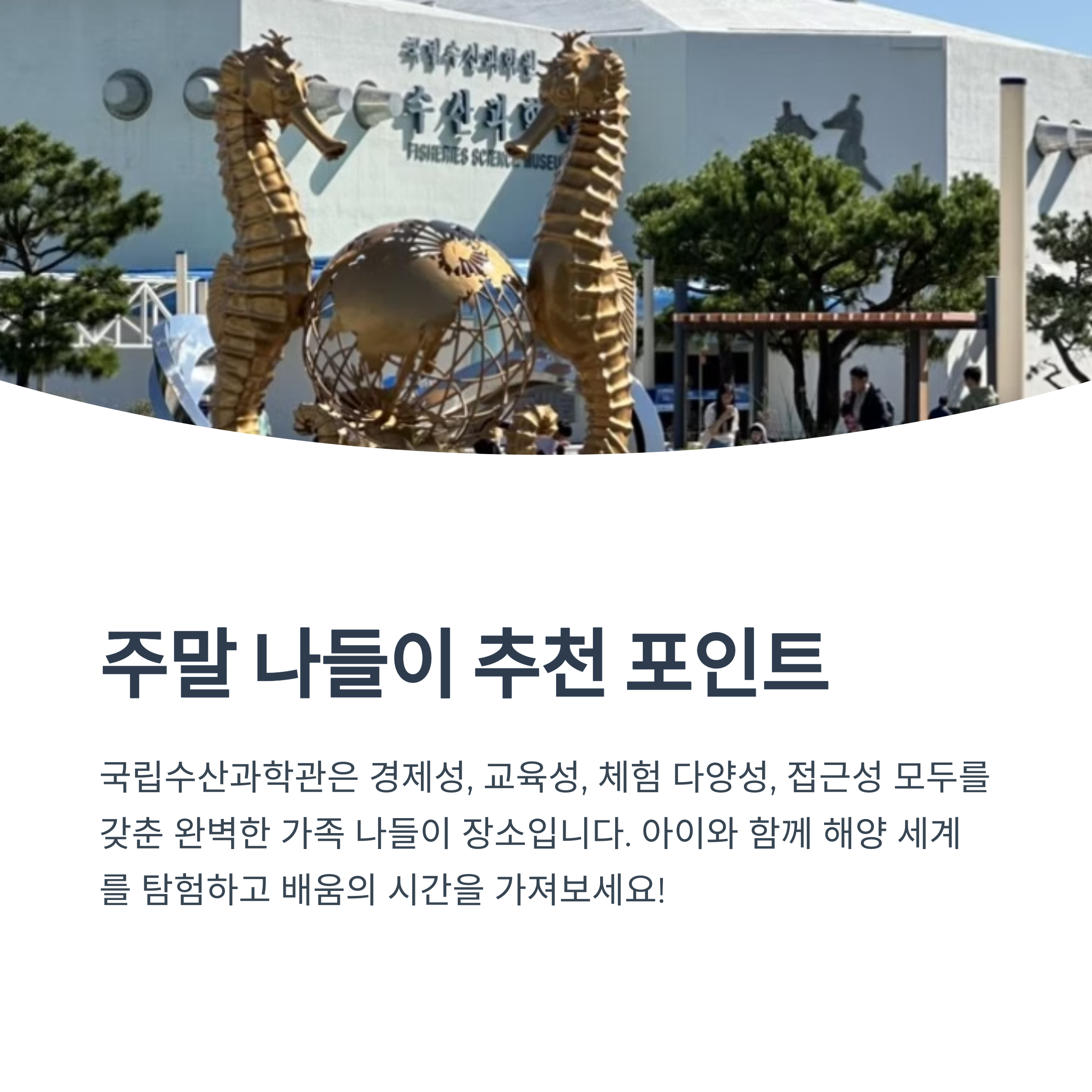 주말 나들이 추천 포인트
